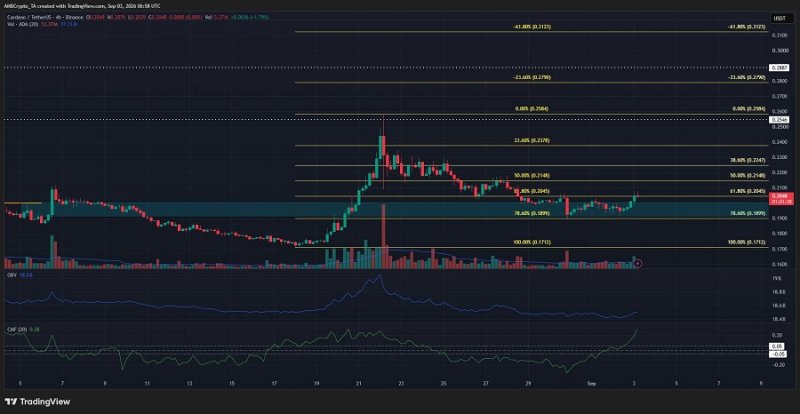 Cardano_4_hour.jpg