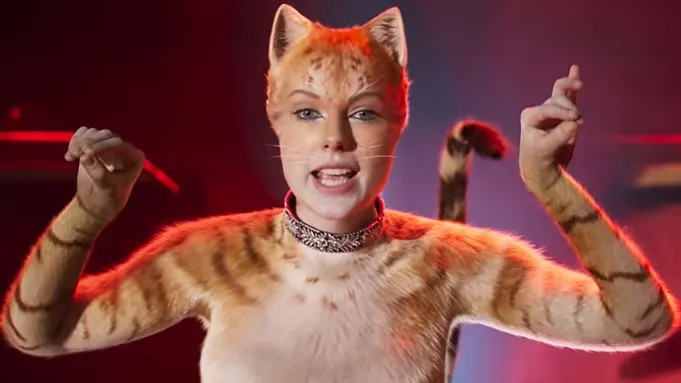 Cats_2019.jpg