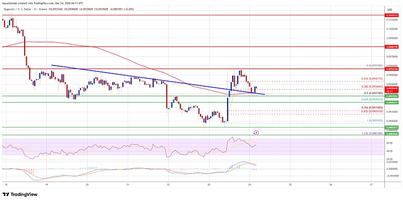 Doegcoin_240326.jpg