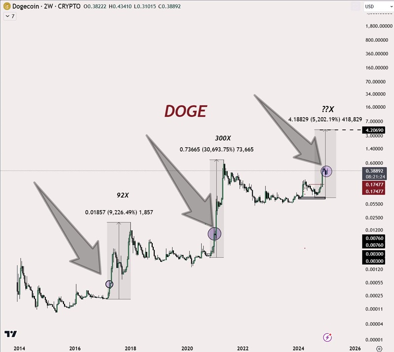 doge_usd__.jpg
