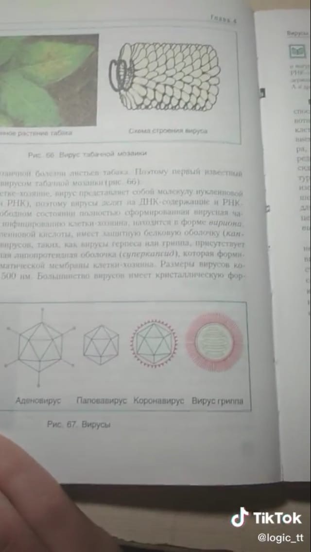 eJFqYXdyJpU.jpg