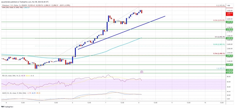 Ethereum_0811_.jpg