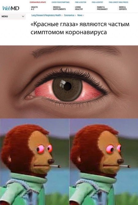 koronavirus_shutka.jpeg