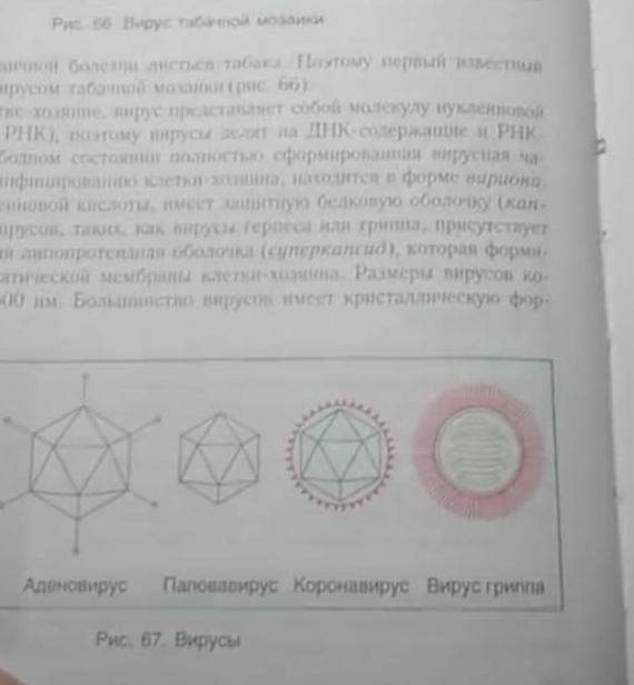 Снимок экрана 2020-03-14 в 19.37.49.png