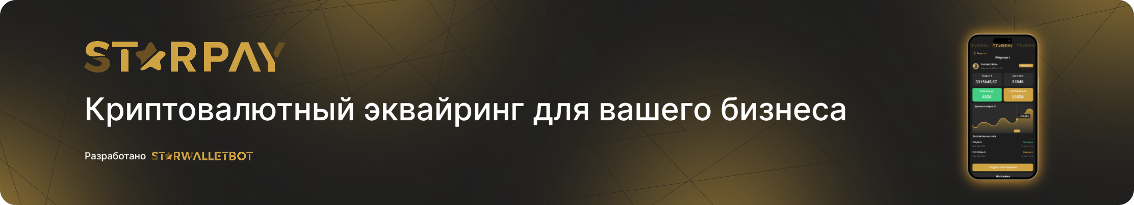 StarPay статья.png