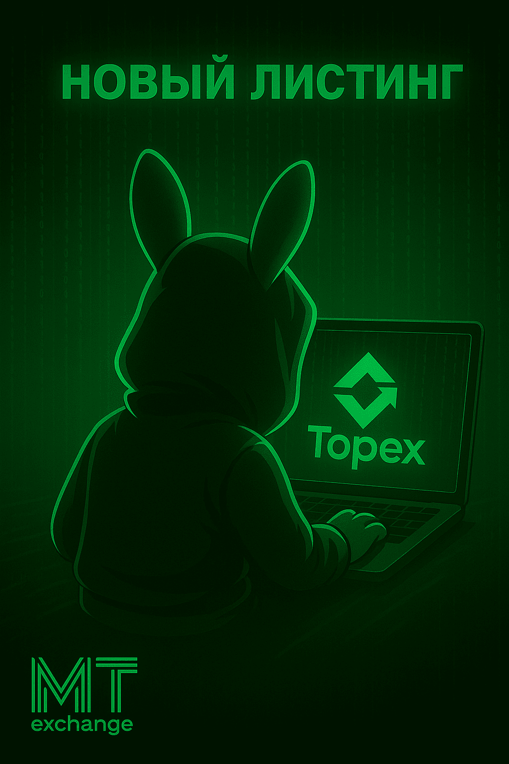 top-ex.png