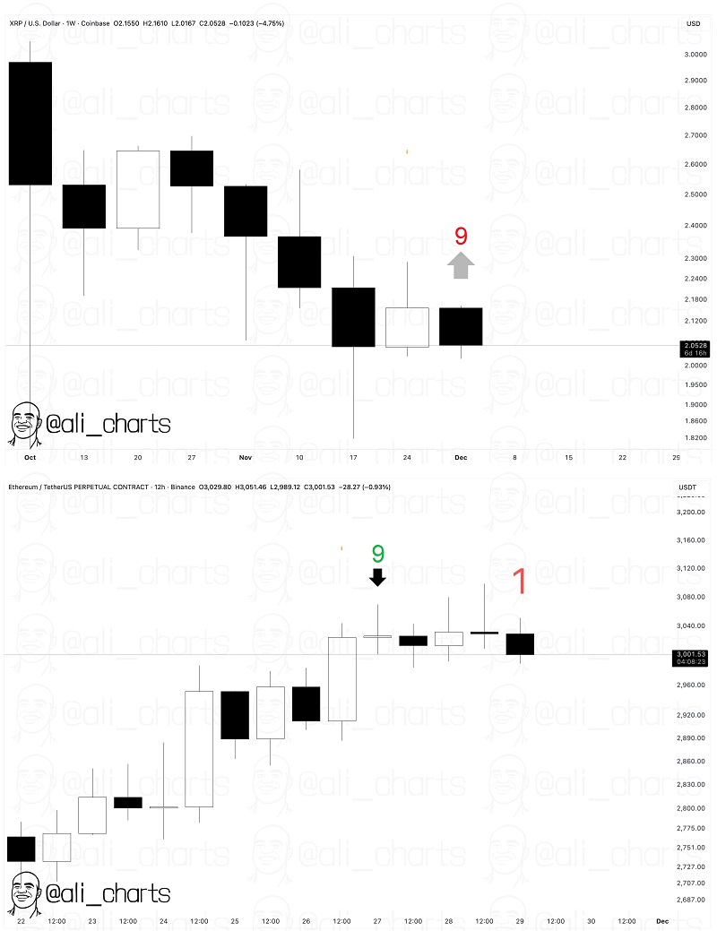 xrp_021225_.jpg