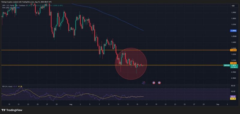 xrp_170826_.jpg