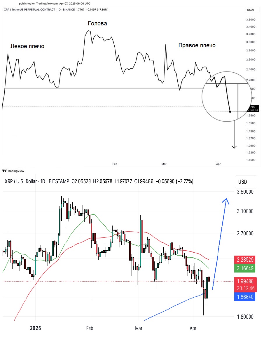 xrp_pattern_golova_i_plechi.jpg