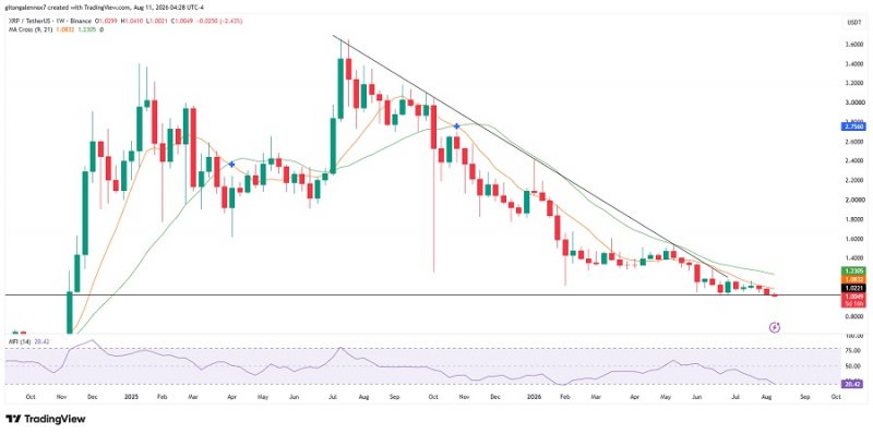 XRP_USDT_20260811_.jpg
