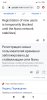 Screenshot_2021-04-17-19-42-04-787_com.android.chrome.jpg