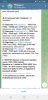 Screenshot_20210902-111127_Telegram_copy_540x1110_1.jpg