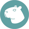 CapybaraVPN